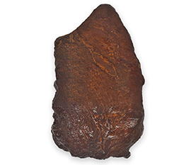 Kayem Fully Cooked Smoked Brisket Food Service